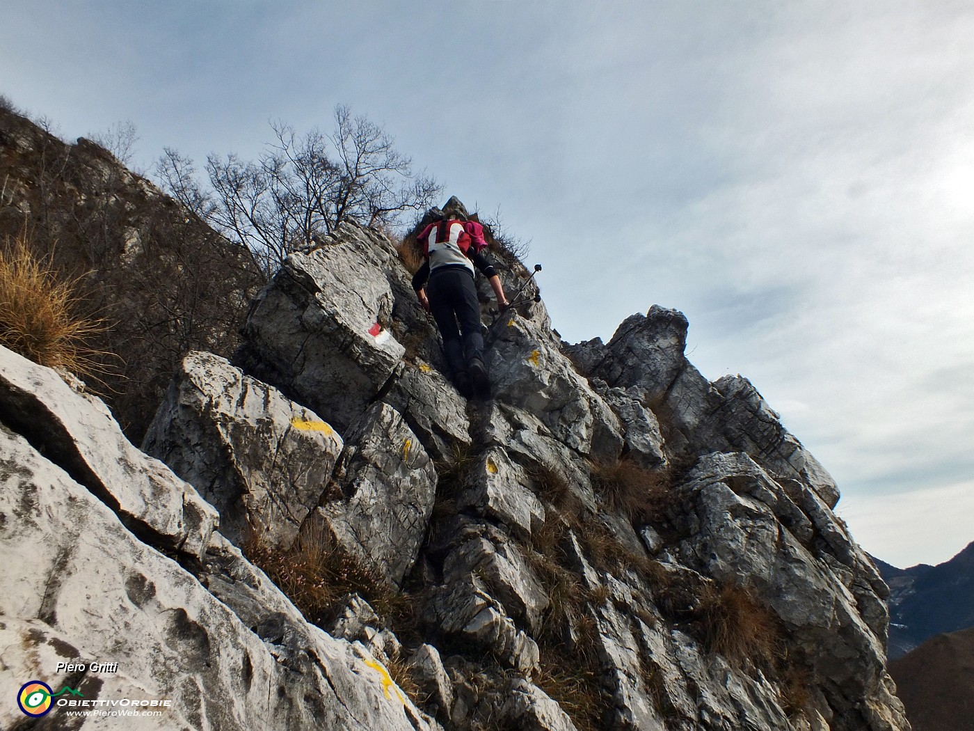 58 si arrampica aiutandosi con le mani.JPG